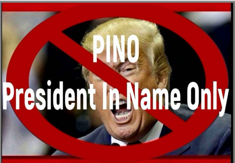 PresidentInNameOnly.com For Sale On Consignment 5 Day Auction