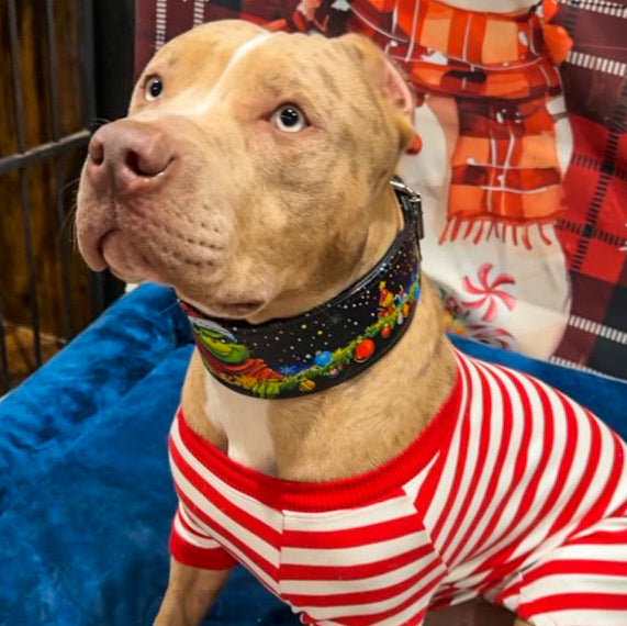 The Grinch Limited Collar-3