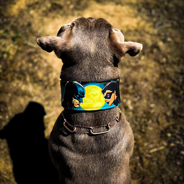 The BCW Limited Collar-3