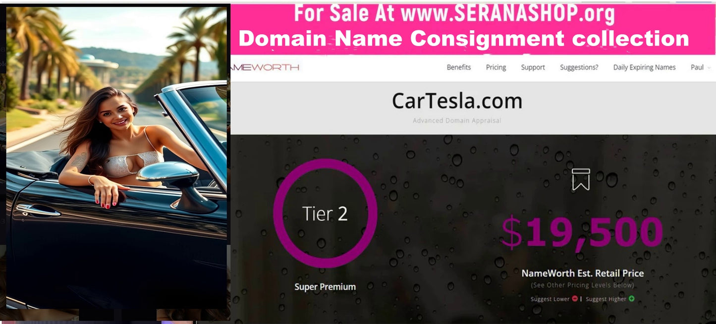 For Sale in the Domain Name Consignment collection  - Cartesla.com  $11,495
