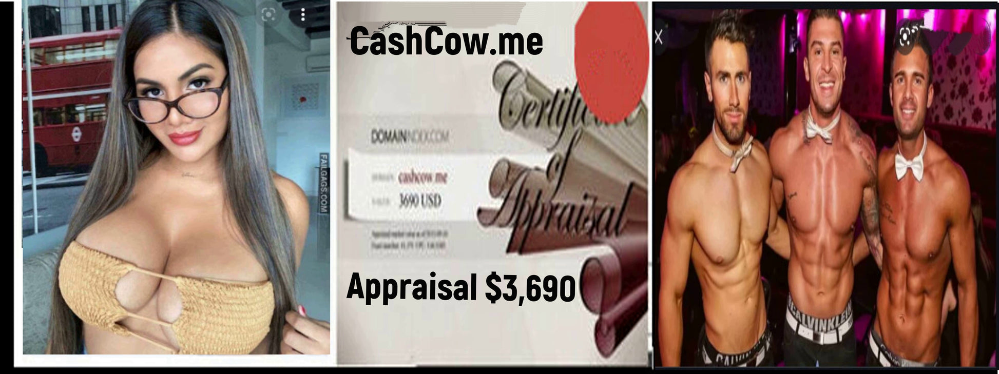 CashCow.me  $3,690  OBO/Offering Seller Financing - The Cat and Cock Shop
