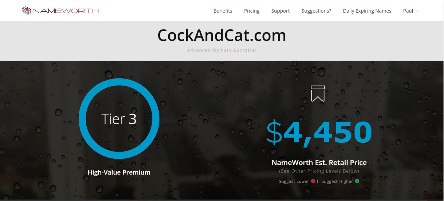 For Sale in the Domain Name Consignment collection-  CockandCat.com Valued at $4,450 asking $2,395