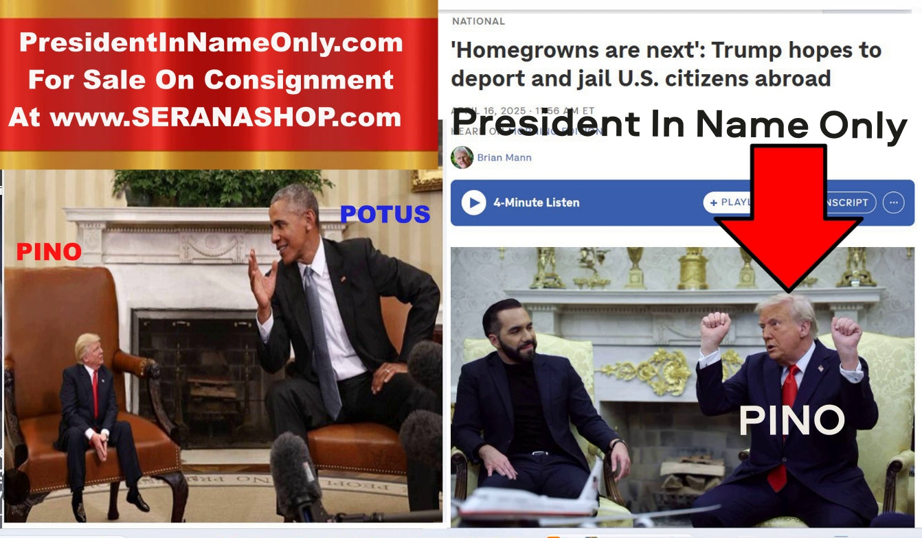 PresidentInNameOnly.com  For Sale On Consignment  5 Day Auction