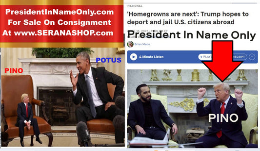 PresidentInNameOnly.com  For Sale On Consignment $2595 or Best Offer